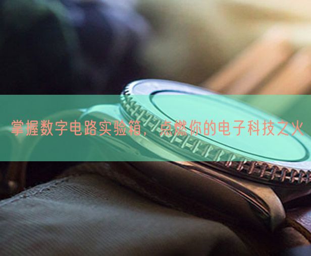 掌握数字电路实验箱，点燃你的电子科技之火(图1)